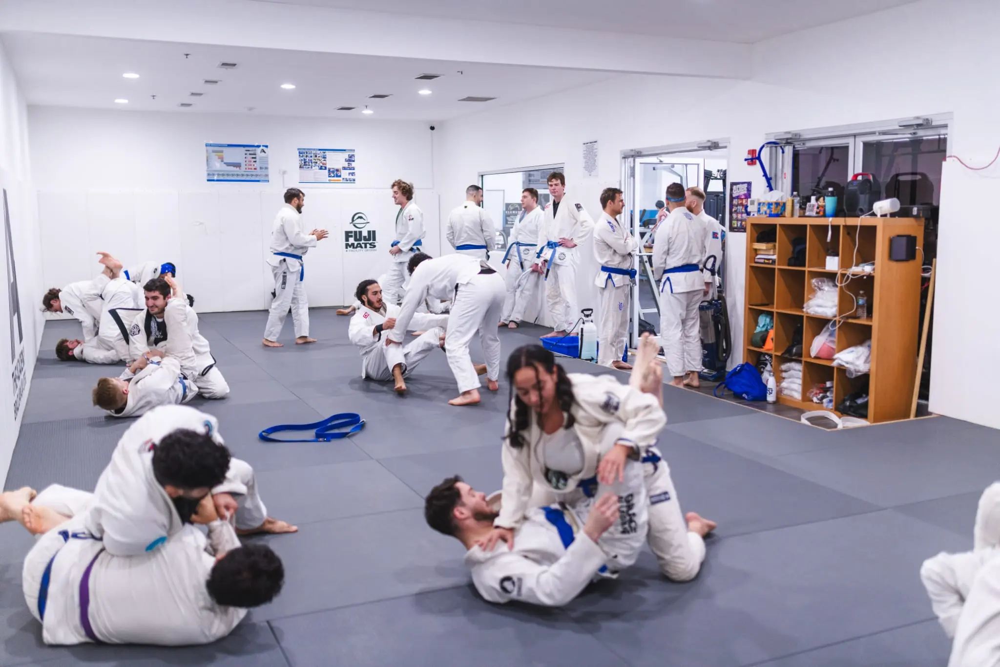 Adults BJJ Class