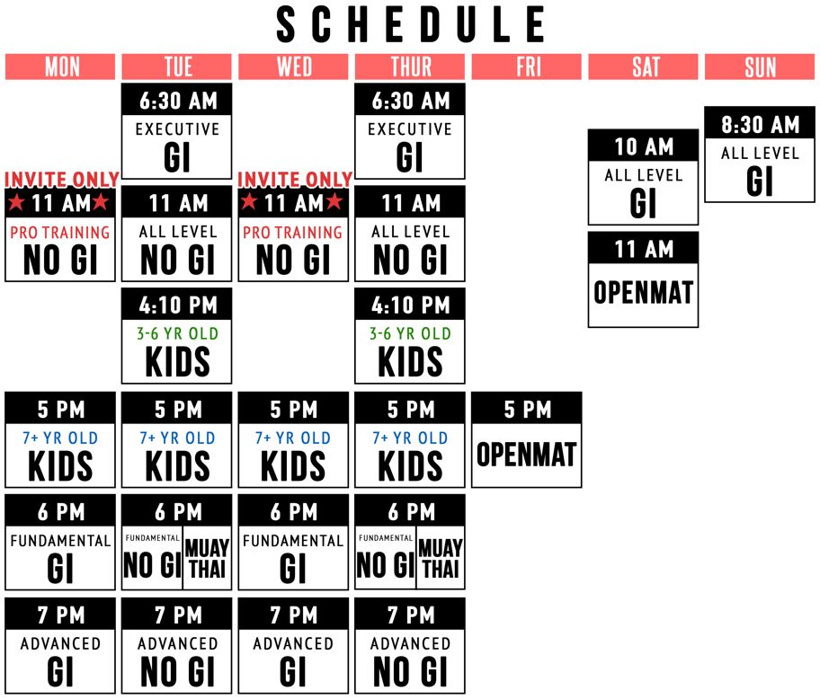 Class Schedule - The Academy Brazilian Jiu Jitsu
